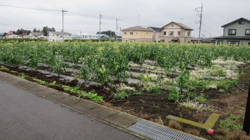 沼田市久屋原町 5,384.5万円