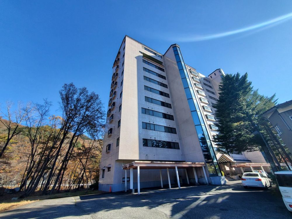 クラウンズヴィラ水上 906号 100万円