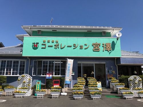 コーポレーション宮澤の店舗メイン画像